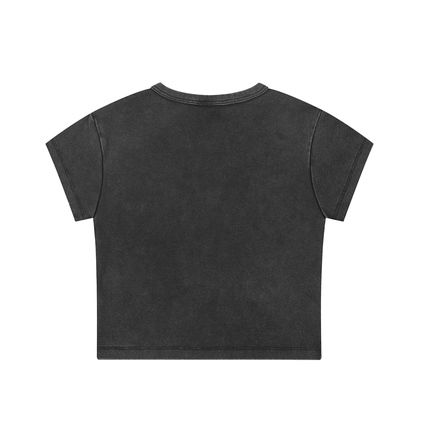 Sliver logo Snow Washed Crop Top