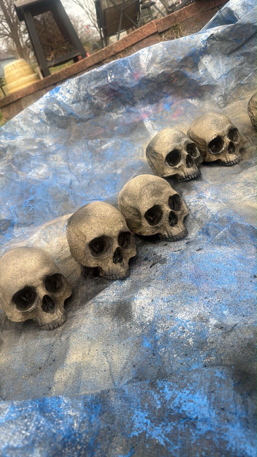 Skulls